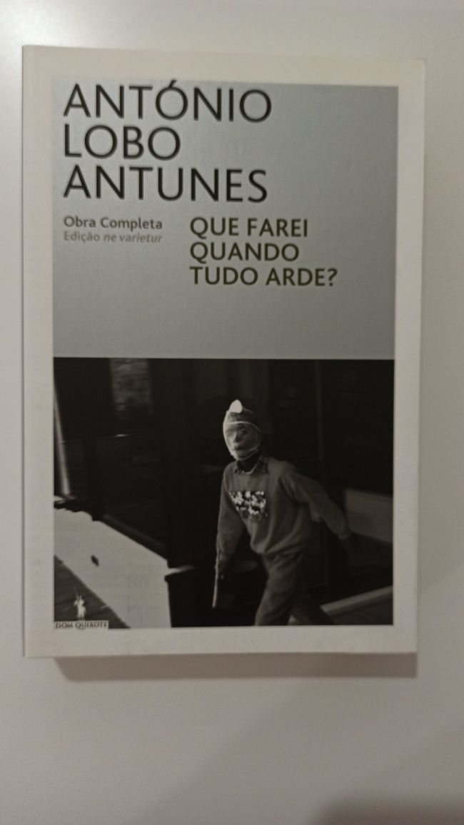 Que farei quando tudo arde? - António Lobo Antunes