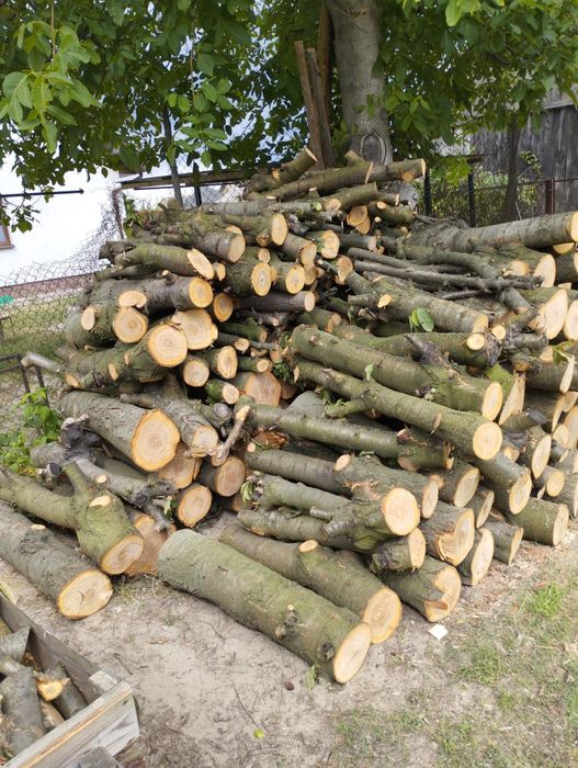 Drewno owocowe z czereśni do wedzenia