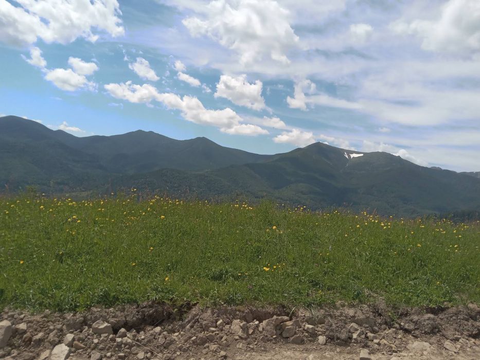 Продаж земельної ділянки