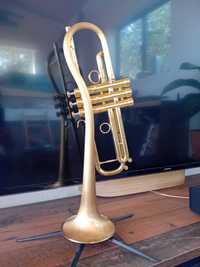 Trompete Trumpet Trompeta CAROL BRASS Dutch Jazz Baster