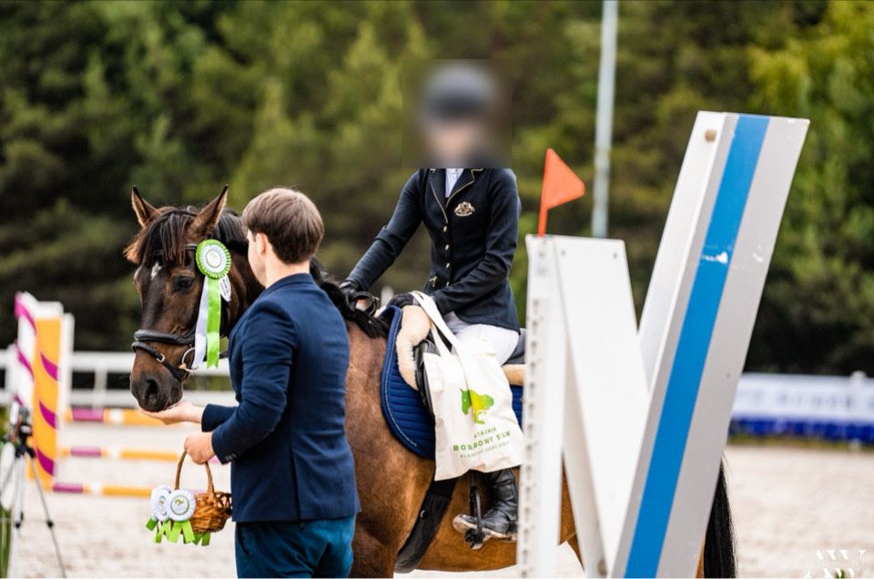 Sprzedam wałacha 11 lat