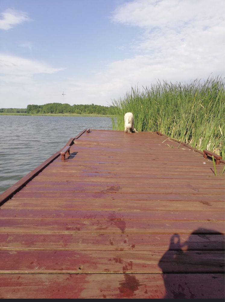 Wynajmę Domek Letniskowy