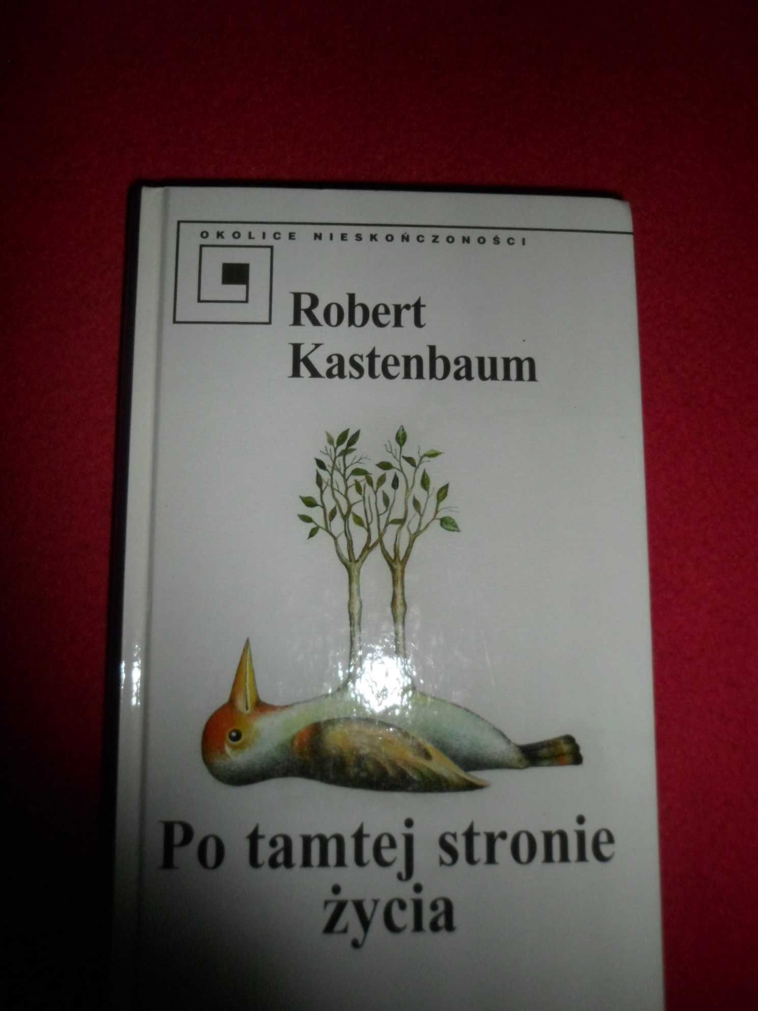 Robert Kastenbaum - Po tamtej stronie życia