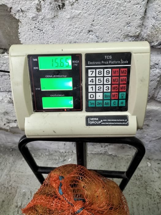 Ziemniaki Soraya Bella Rossa Mio Connect