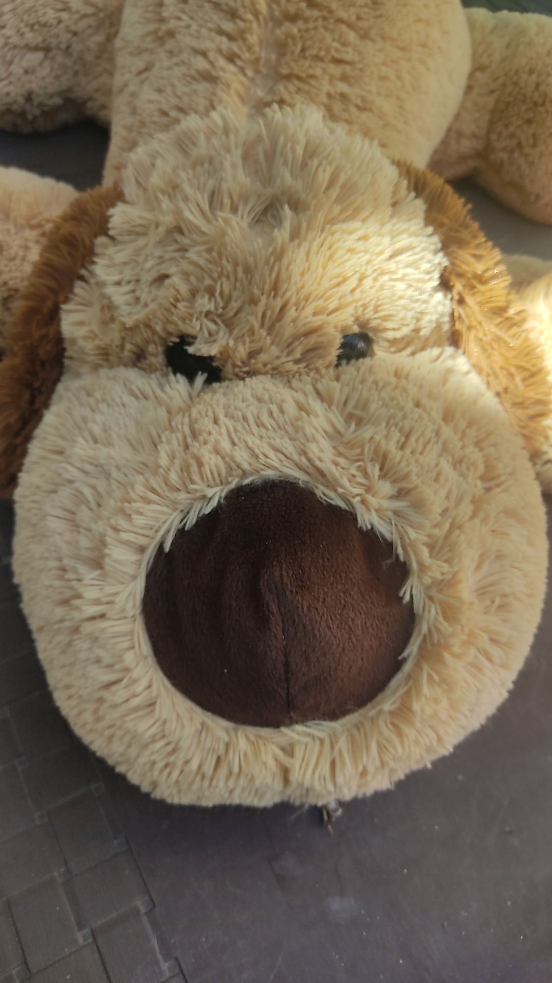 Peluche      cão