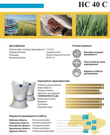 Продам посівну пшеницю NS 40 (Сербія ) 2022 р..