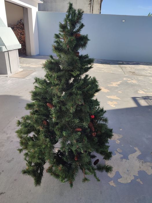 Vendo árvore de Natal