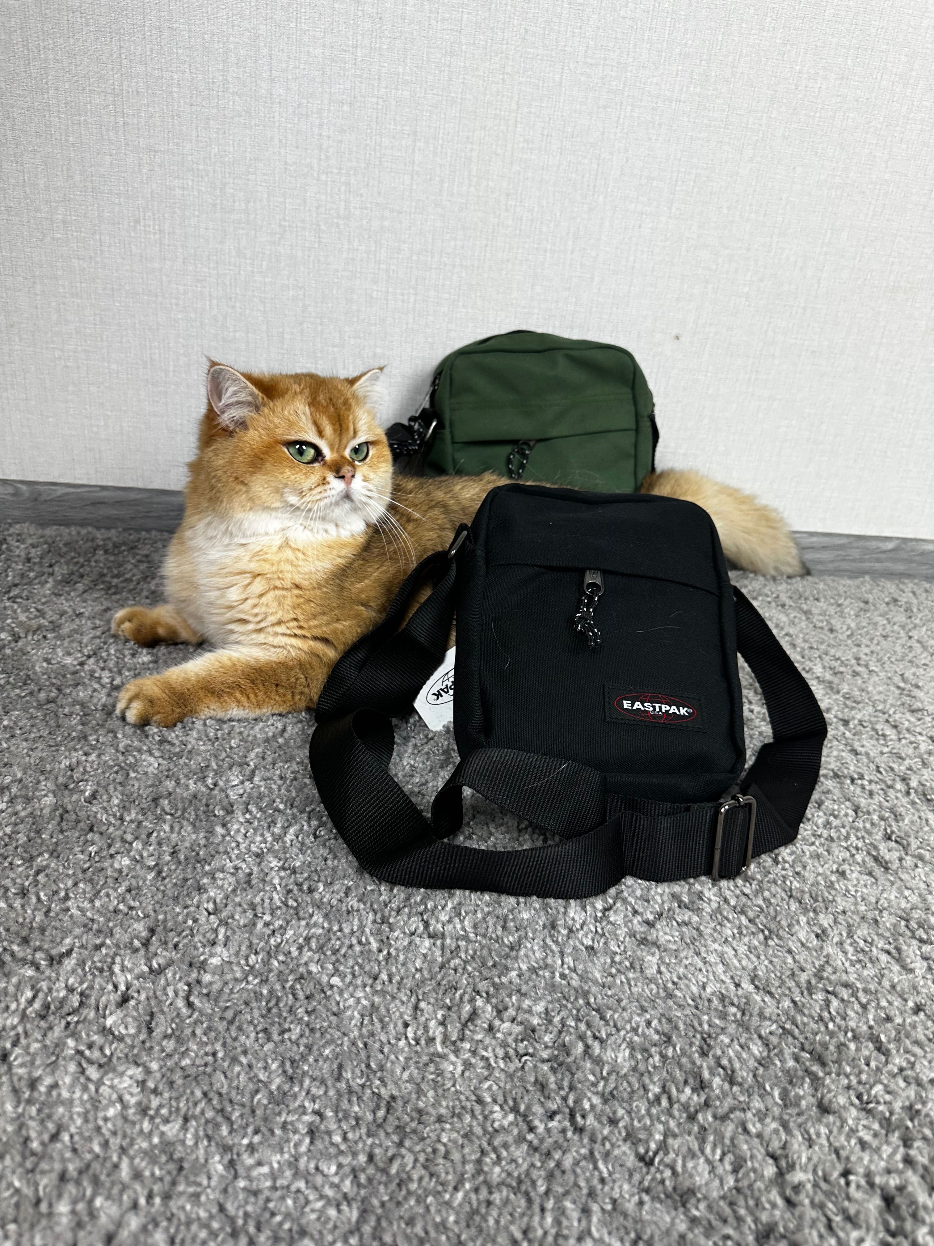 Сумка EASTPAK | Барсетка Eastpak | сумка істпак