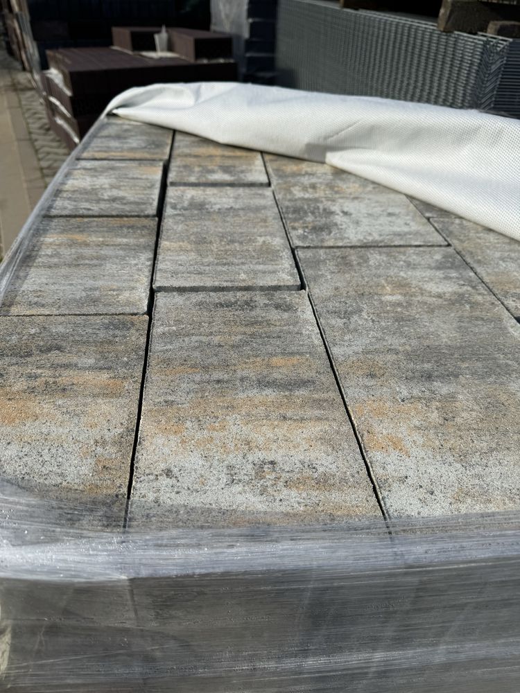 Kostka brukowa Forbet Zeno Parhenon 6 cm muszla od ręki, transport hds