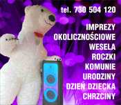 Bialy miś na imprezy okolicznościowe zapraszam