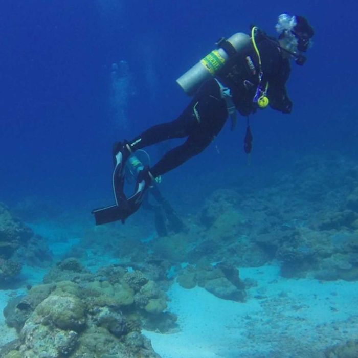 Дайверы, водолазы и мотористы для сбора рапаны
