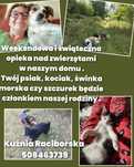 Domowa opieka nad zwierzętami