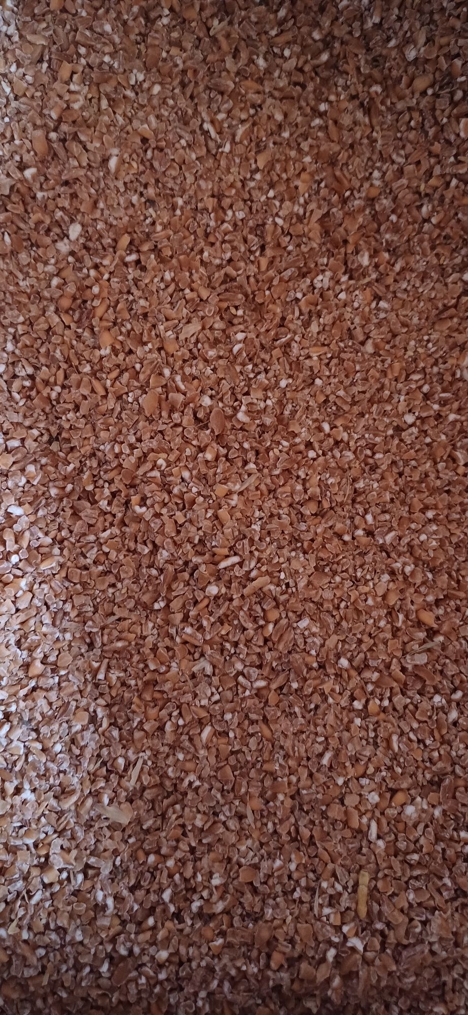 Крупа пшенична 25кг мішок (ОПТ/РОЗНИЦЯ)