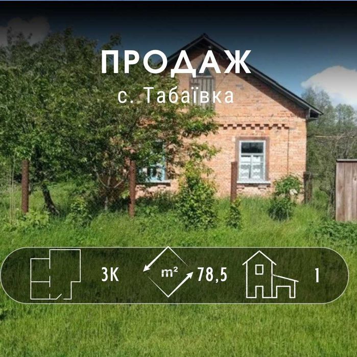 Цегляний будинок в с.Табаївка! 1 Лінія Лісу! A11