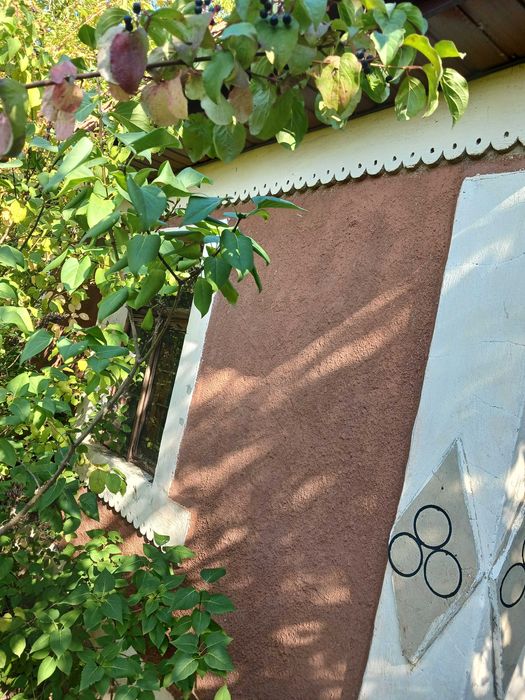 Дача біля термального басейну в Берегові з садовою ділянкою 6.5 соток