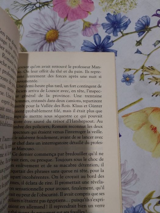 Mystère dans la Vallée des rois. Portes incluídos
