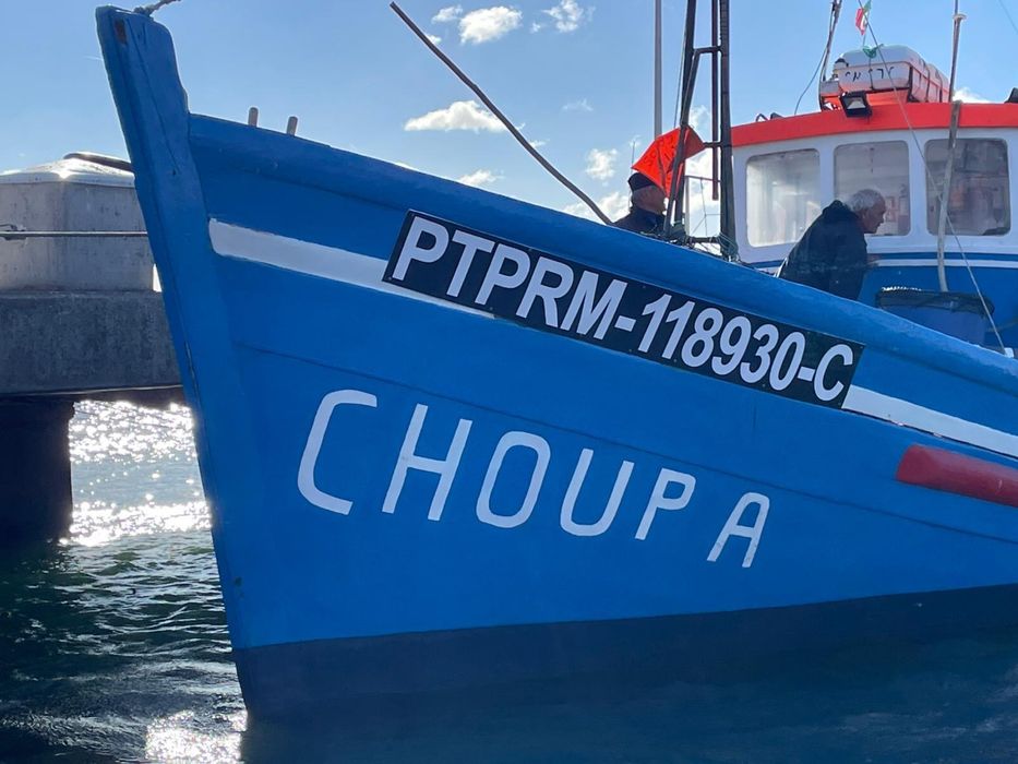 Vendo Barco De Pesca Profissional