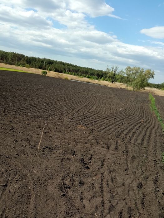 Продам будинок, з велик,учасником,,ціна дог