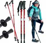 KIJKI TREKKINGOWE DO CHODZENIA para 2 sztuki nordic walking kije kij