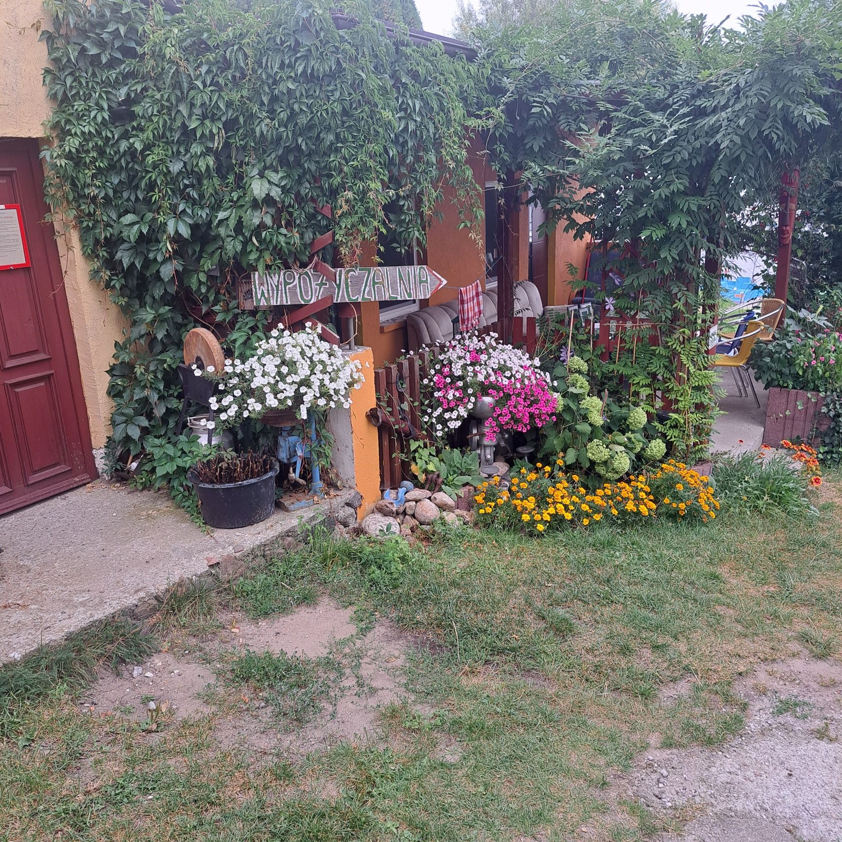 Nocleg Ryby Grzyby Siemiany Migda