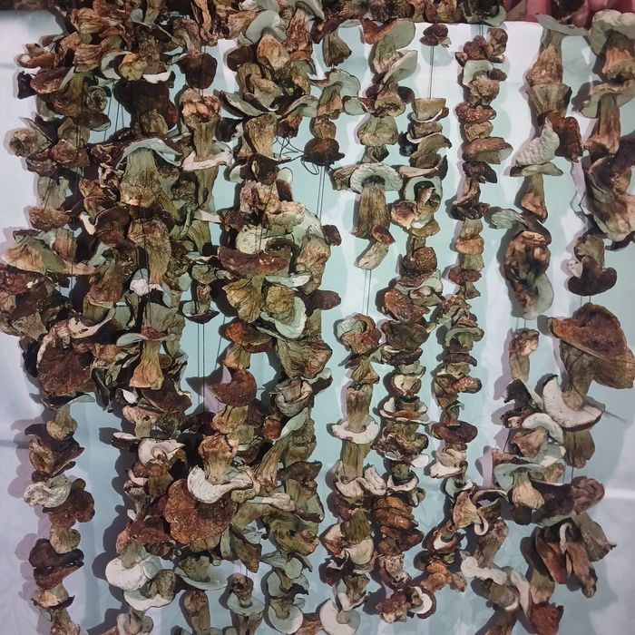 Білі сухі гриби з печі!