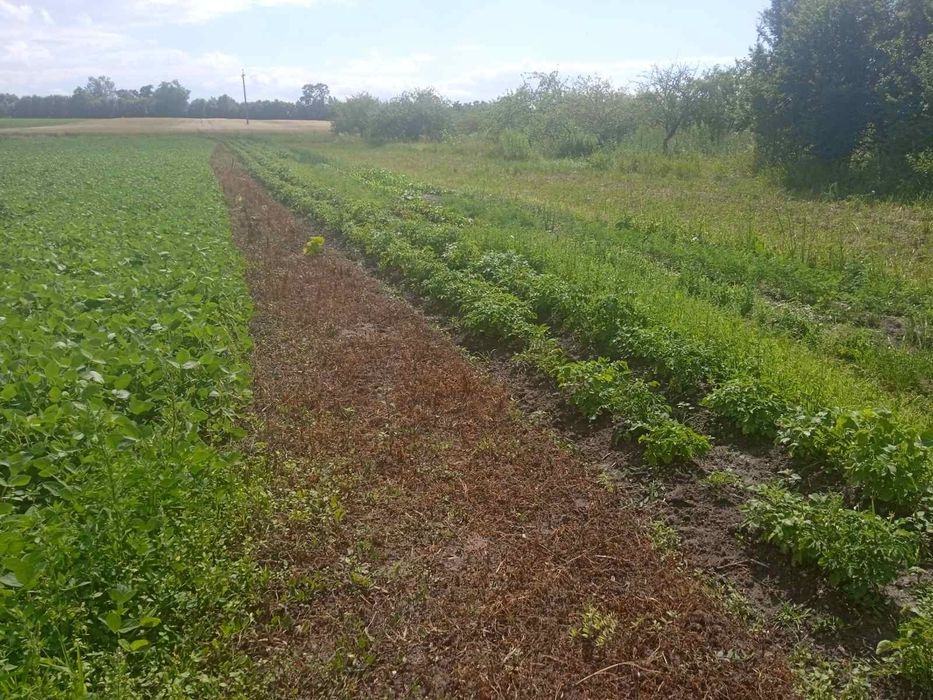 Продам будинок с.Ужова 25 км від Луцька Ковельська траса