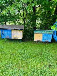 Продам вулик для бджолі у доброму стані