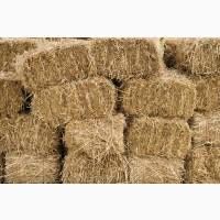 Сіно в тюках та рулонах з доставкою