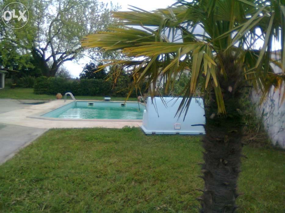 Casa de Alpiarça -casa com piscina