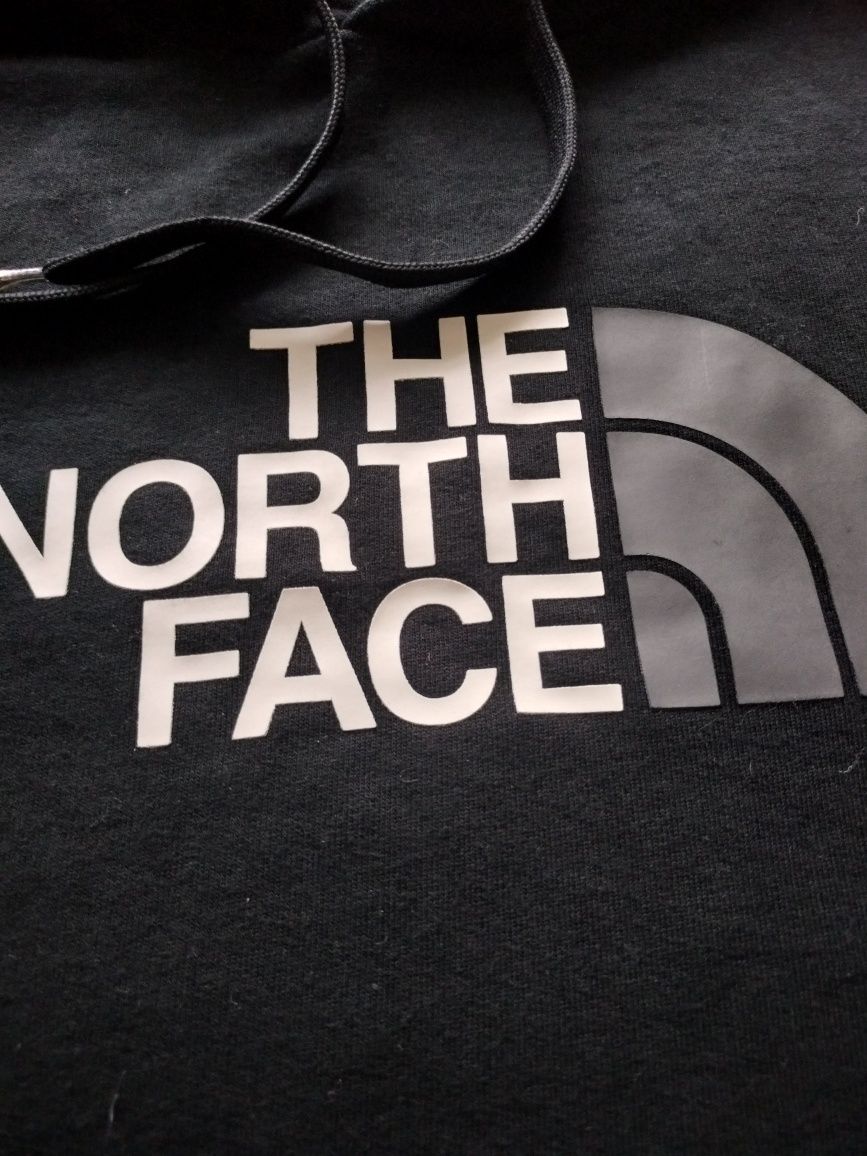 Bluza męska sportowa The North Face
