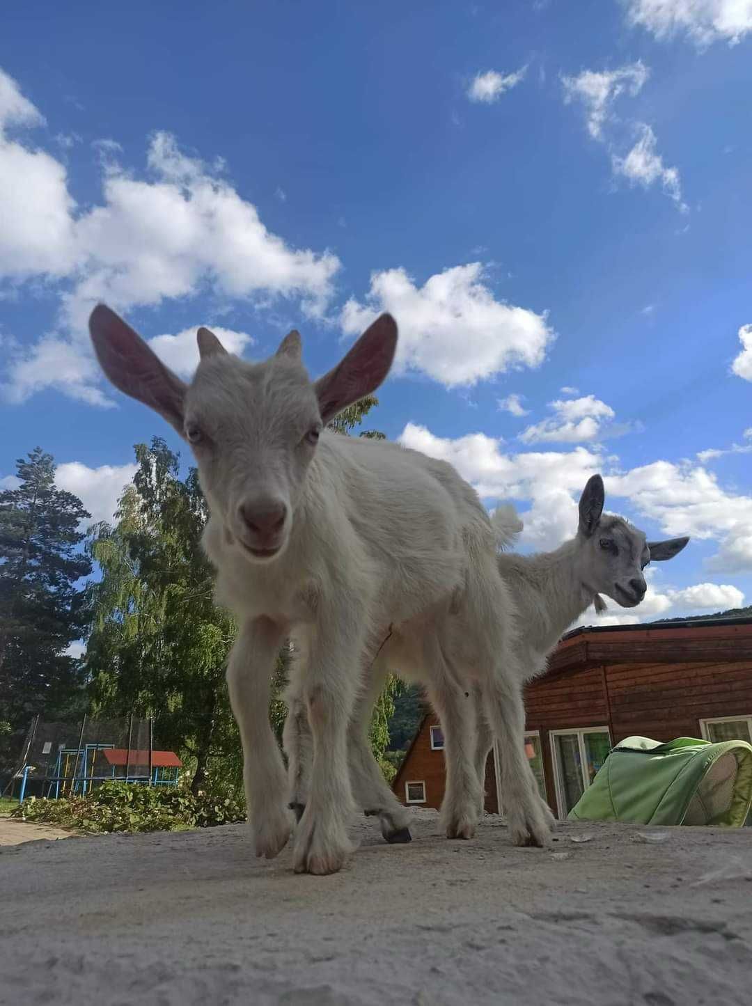 Chata góralska noclegi domek Solina Polańczyk Bieszczady domki jezioro