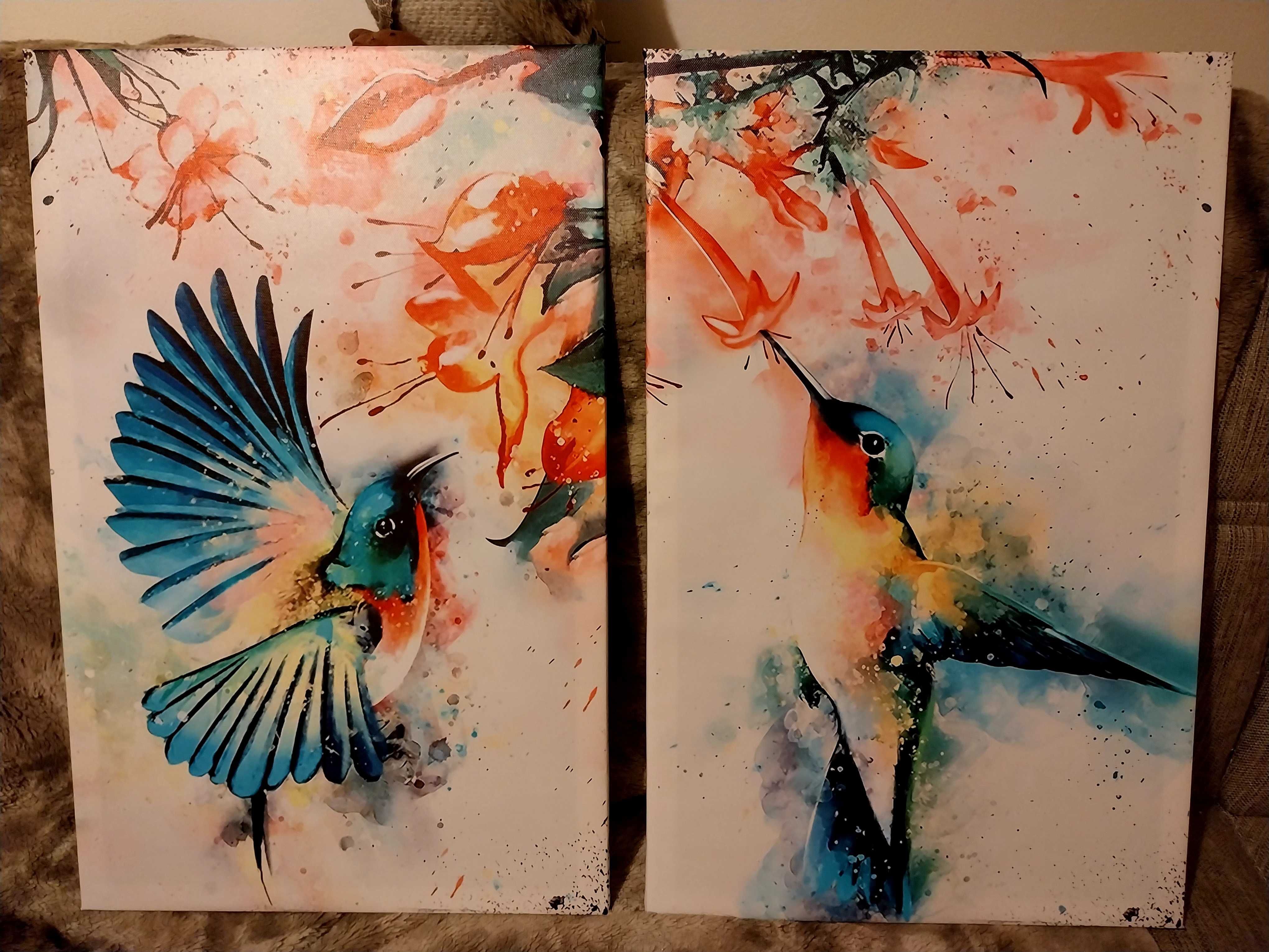 Quadros/telas com pássaros/colibris