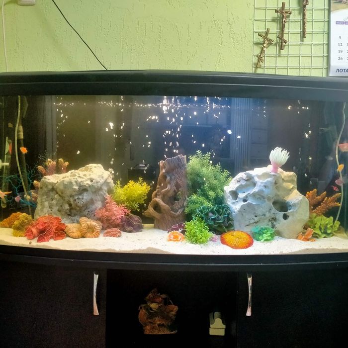 Акваріум, дизайн, обслуговування, виготовлення