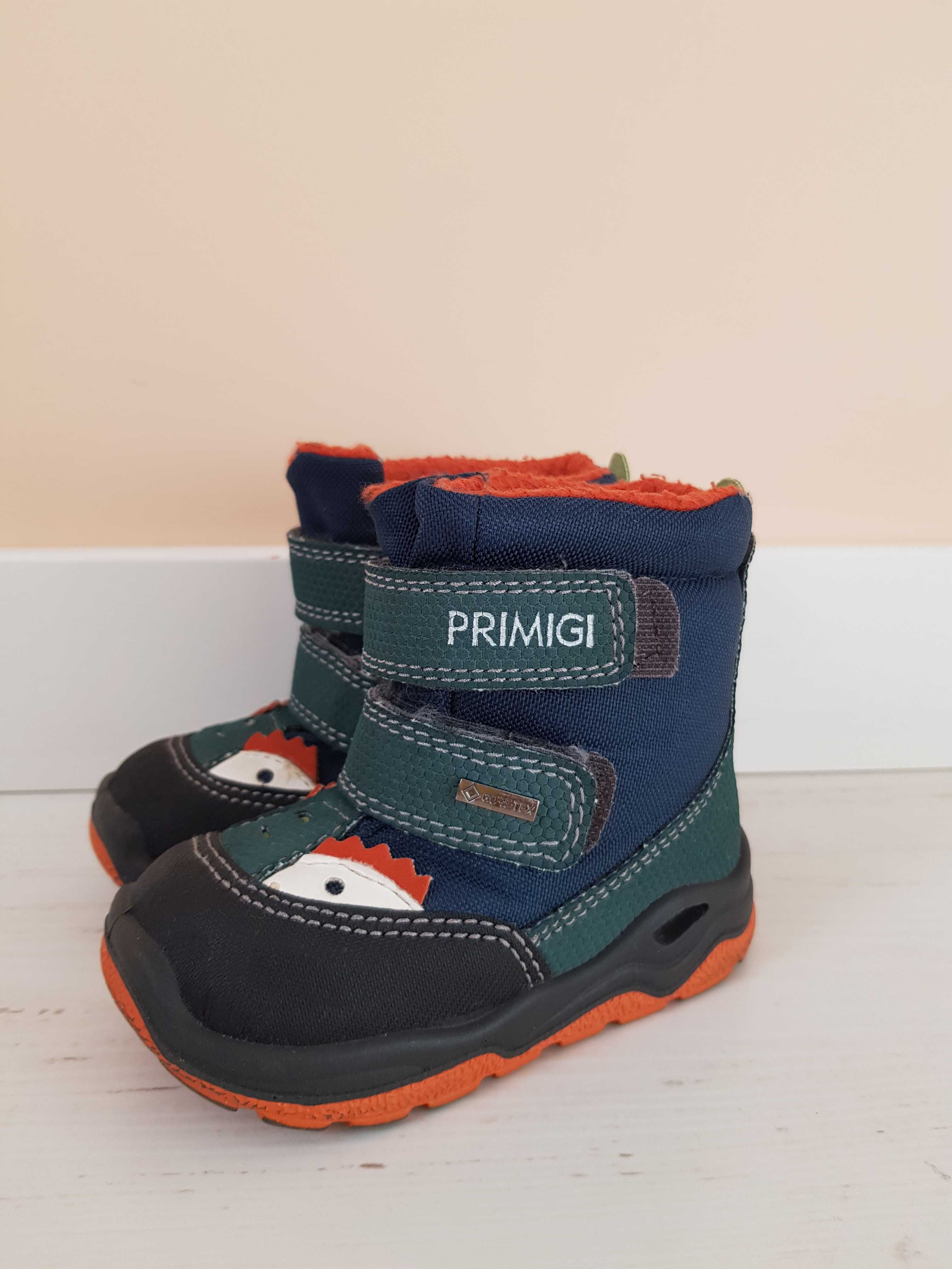Зимове взуття Primigi