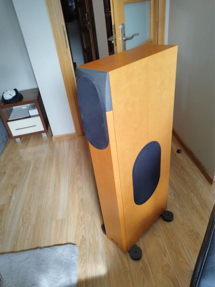 Kolumny Audio Physic Padua