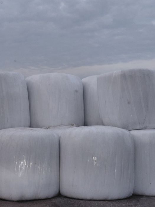 Baloty sianokiszonki z lucerny i trawy