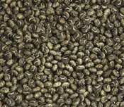 Łubin Żółty Bobik Sorgo Facelia Gryka Groch Lucerna Wyka Peluszka Soja