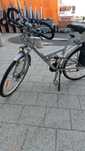 Rower Alu trekking star