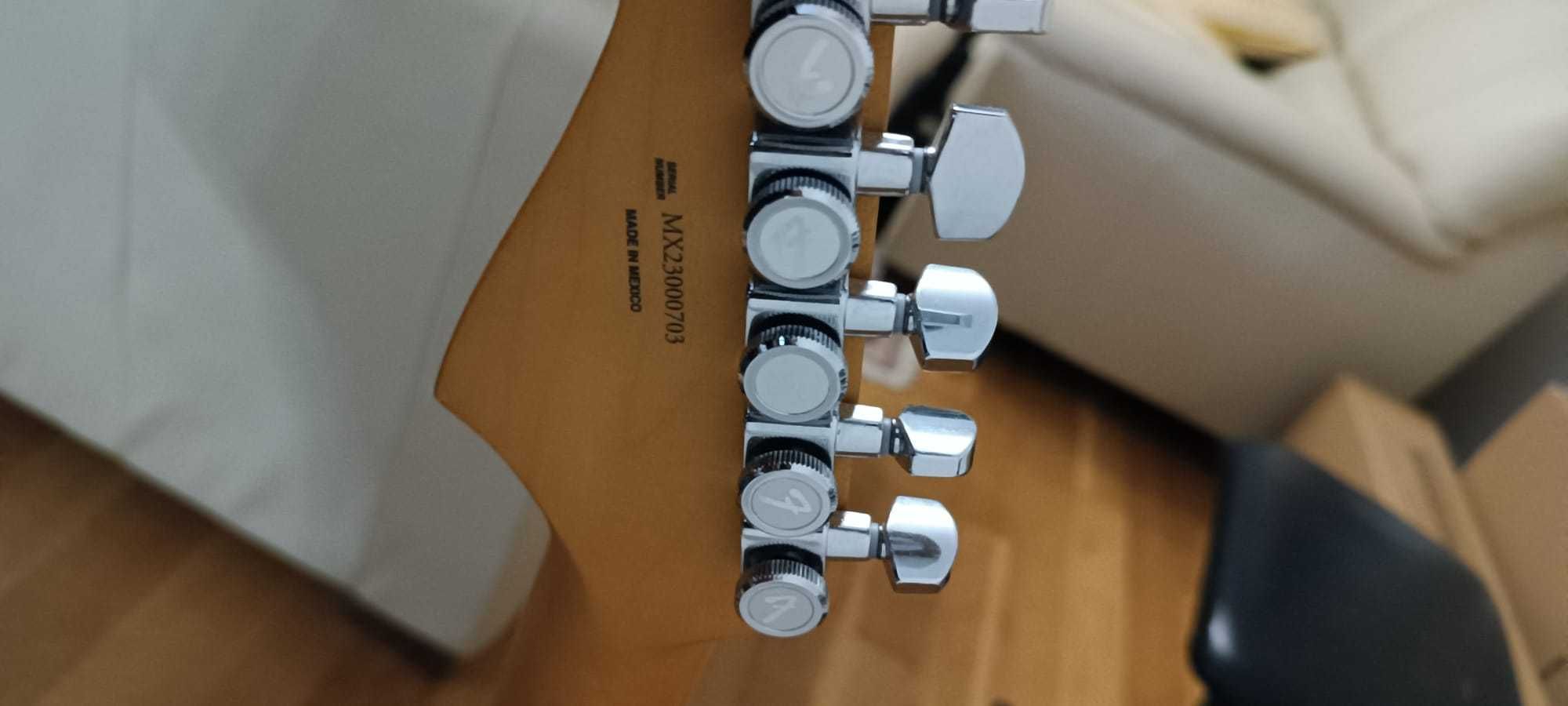 Fender Player Plus Stratocaster
