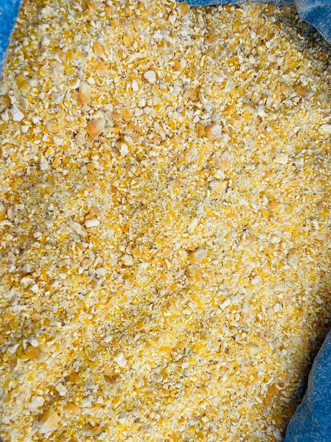 Karma dla kur , dla gołębi | kukurydza z pszenicą 25kg