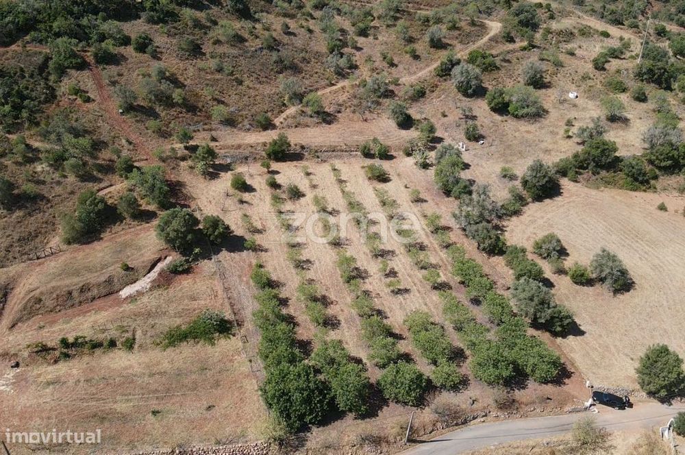 Terreno Rústico em Amorosa com poço de água e 27.160m2 de área