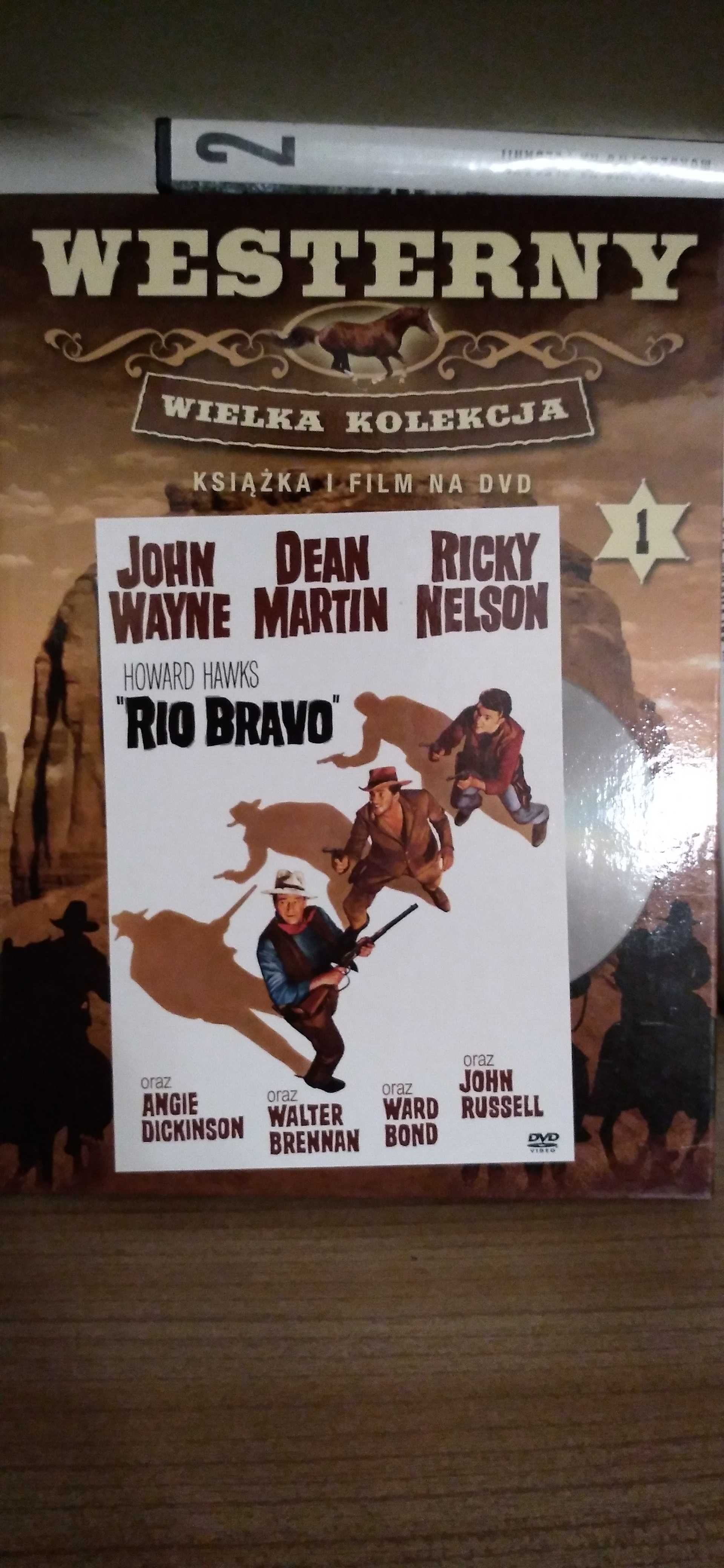 Filmy rózne na płytach DVD