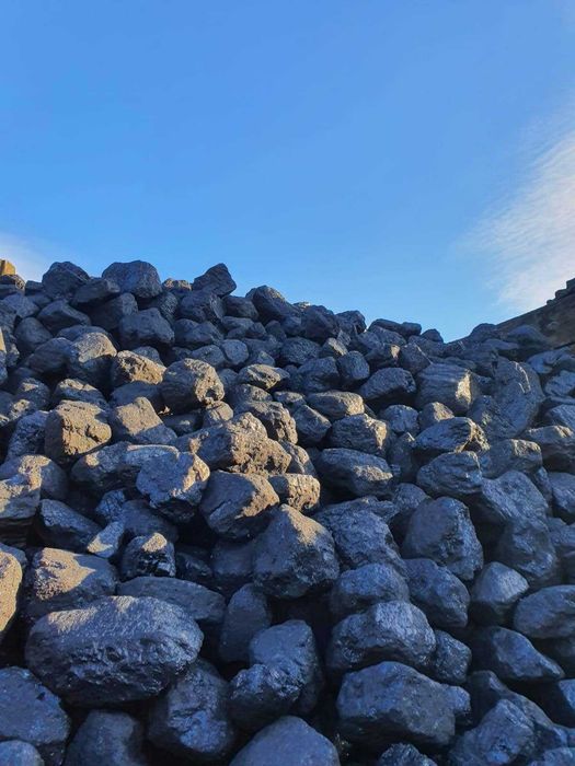 Wysokiej jakości Węgiel kamienny w niskich cenach