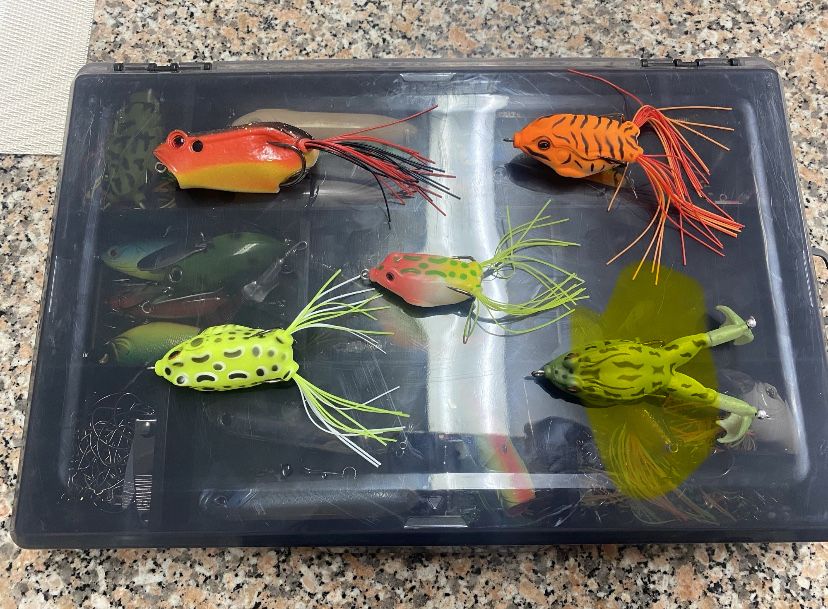 Lote de amostras - Pesca ao Achigã