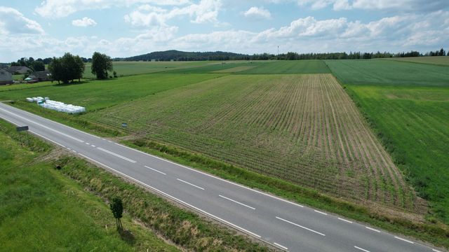 Sprzedam grunty rolne 3,32 Ha Rzęgnowo gm. Dzierzgowo