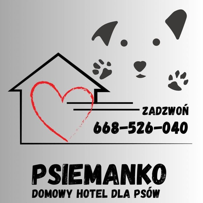Domowy Hotel dla Psów koło Zbąszynia