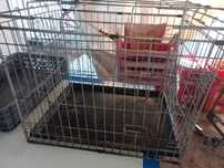 Caixa para transporte de animais