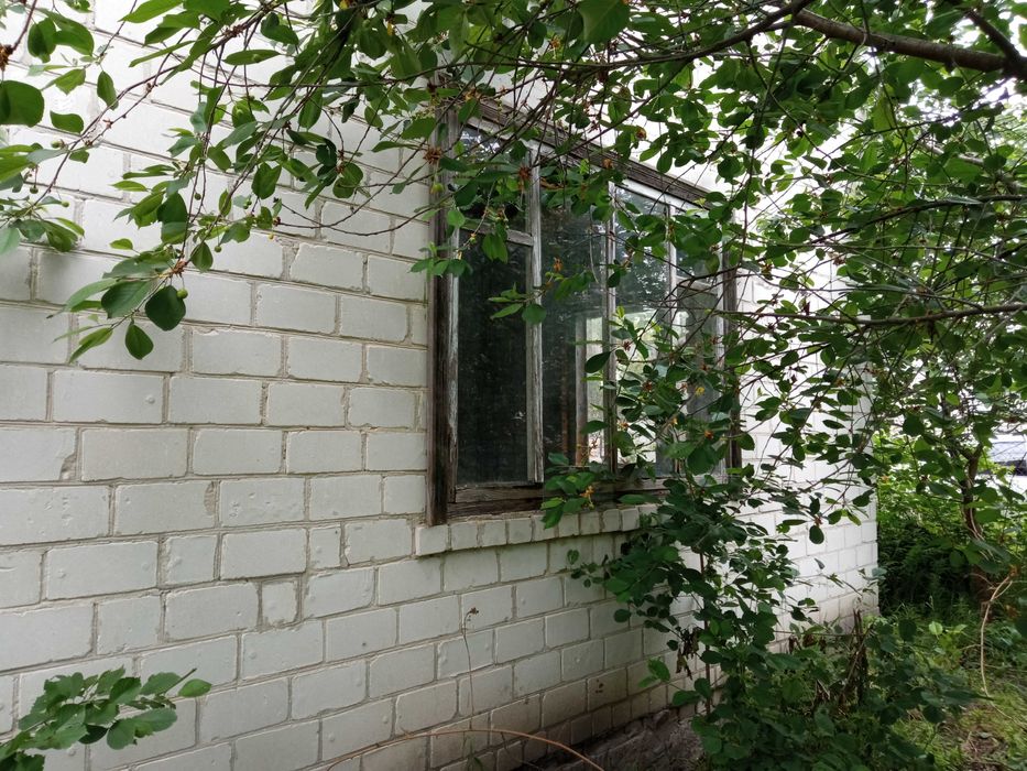 Продам будинок в садовому товаристві Чайка