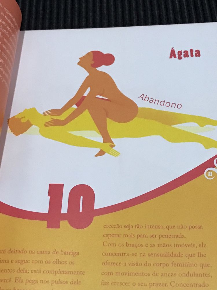 Livro Sexo + de 100 Posições