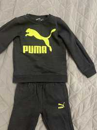 Костюм puma